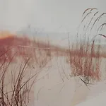 Strandhuisje