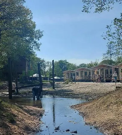 Campsite Strandhuisje Voorthuizen
